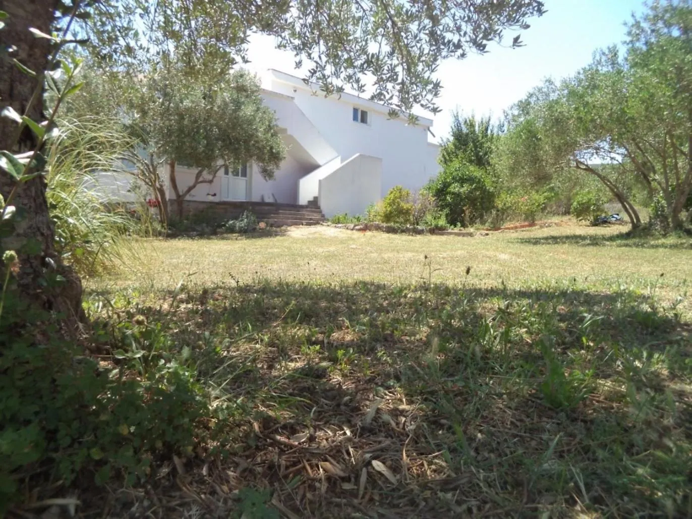 Cosy Apartments 100 M From The Beach Dobropoljana 0*,