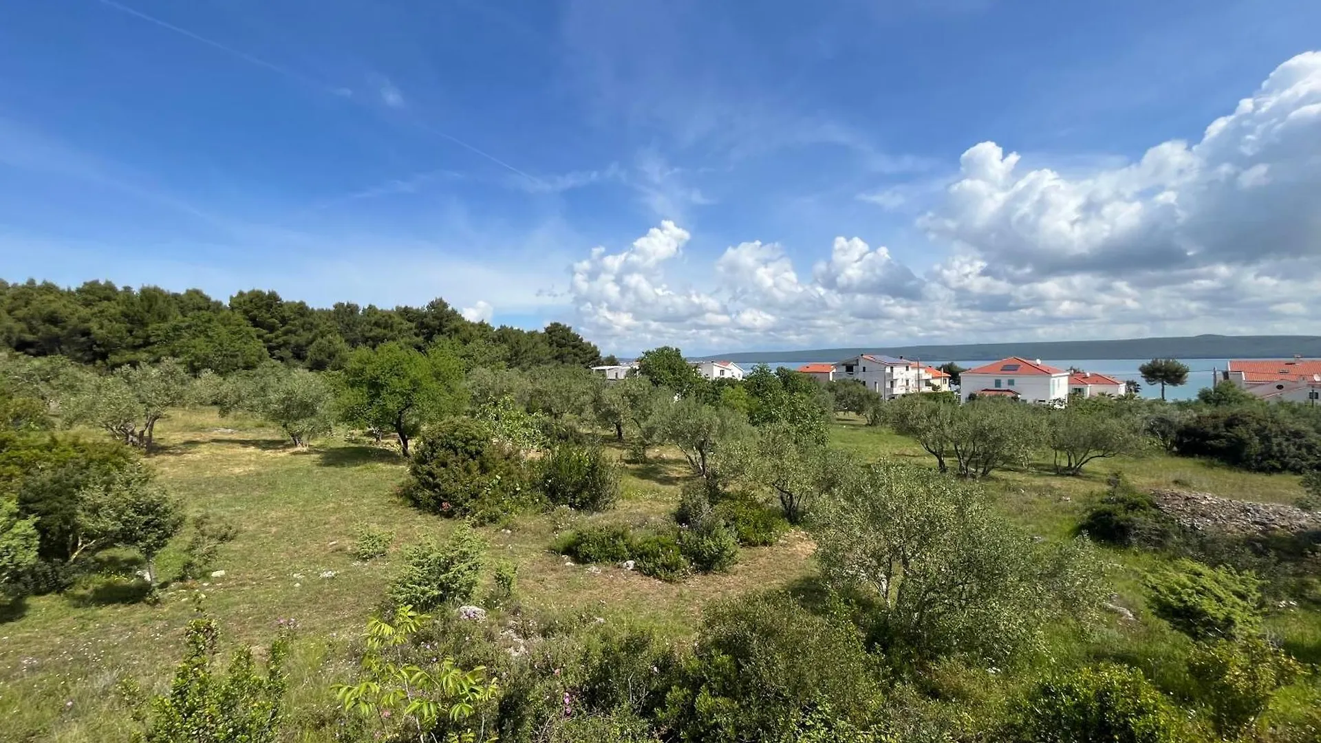 Cosy Apartments 100 M From The Beach Dobropoljana